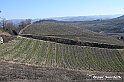 VBS_0826 - Corneliano d'Alba